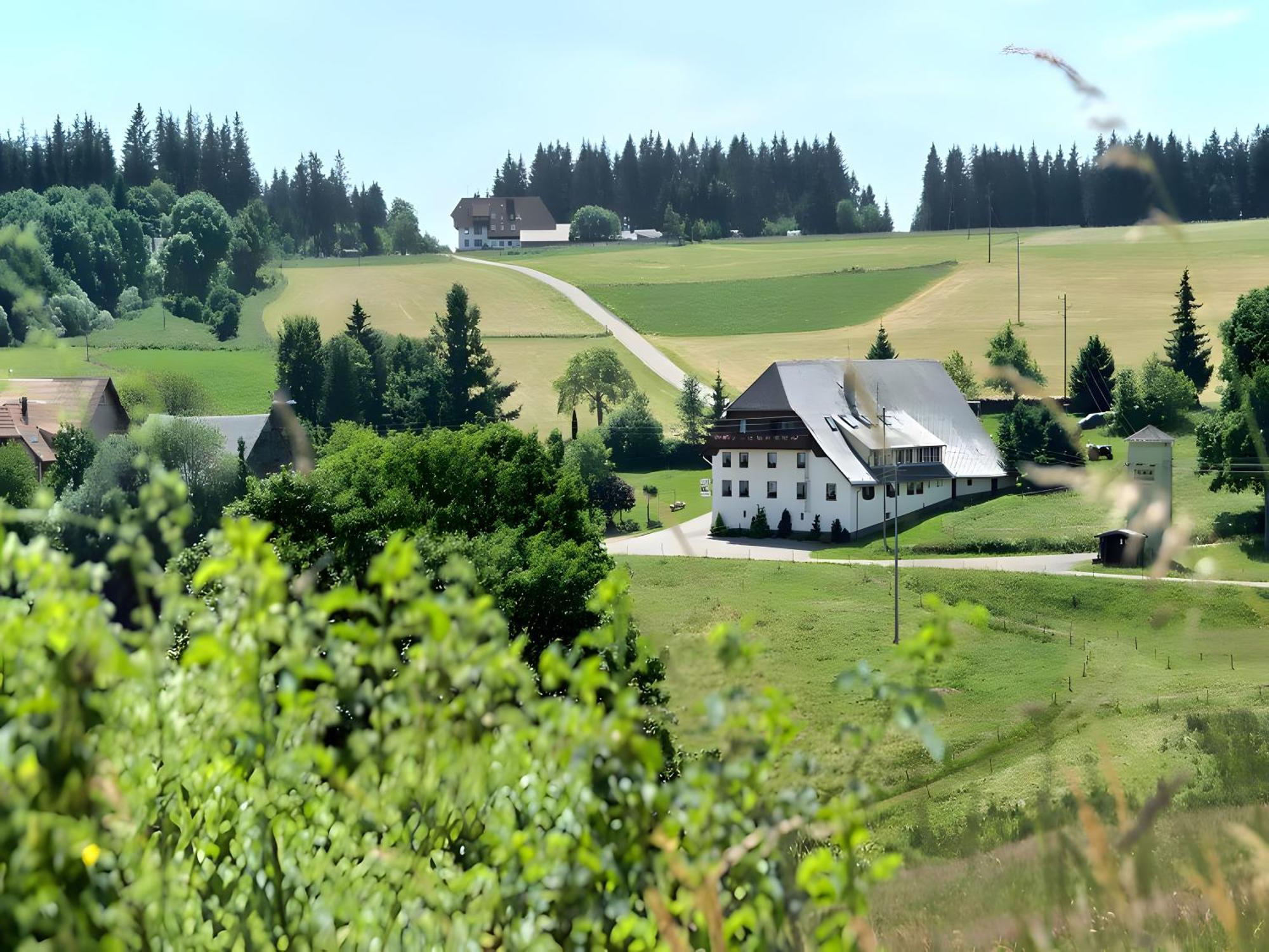 Gasthaus-Pension Zum Loewen Grafenhausen Ngoại thất bức ảnh