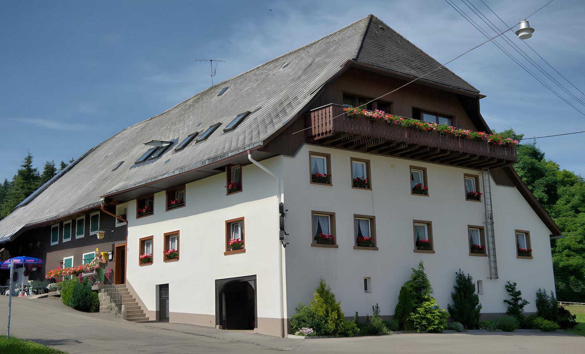 Gasthaus-Pension Zum Loewen Grafenhausen Ngoại thất bức ảnh