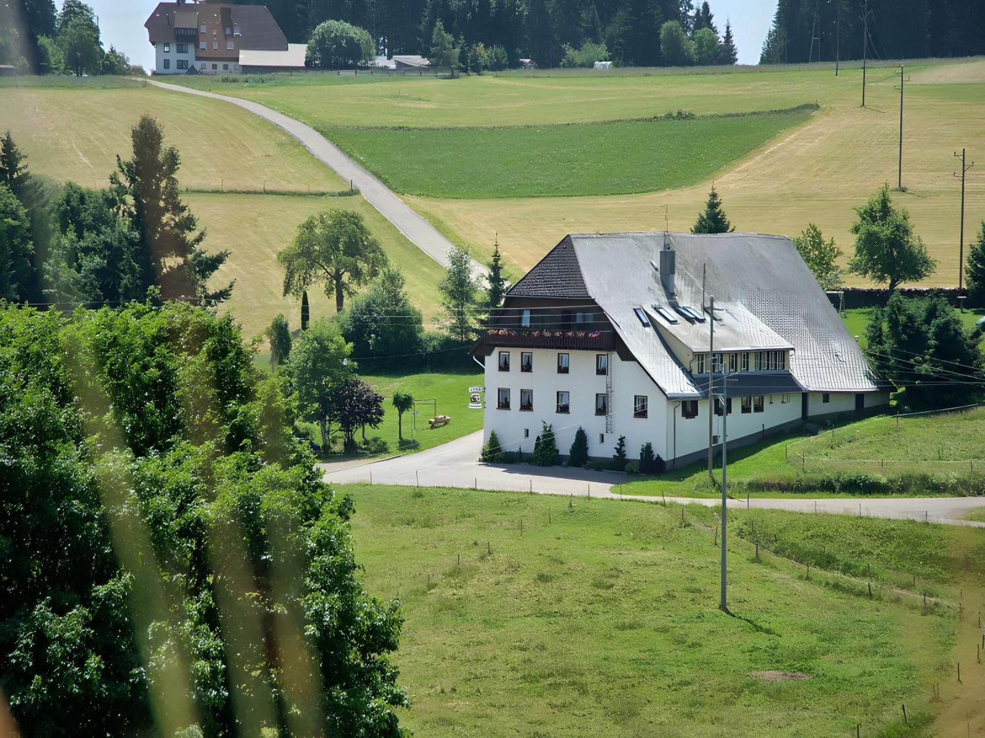 Gasthaus-Pension Zum Loewen Grafenhausen Ngoại thất bức ảnh